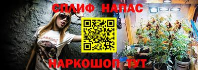 прущие грибы Бузулук