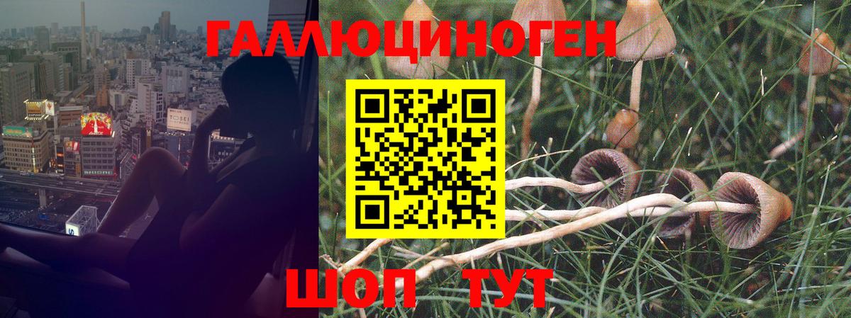 Нижневартовск  Псилоцибиновые грибы мицелий  как найти закладки  Вход с VPN 